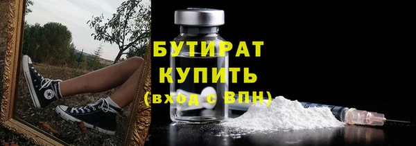 сатива Няндома