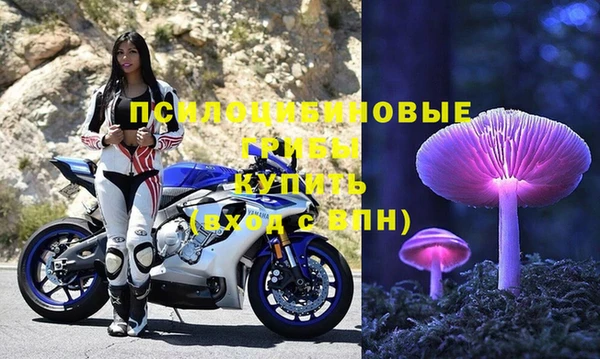 прущая мука Армянск